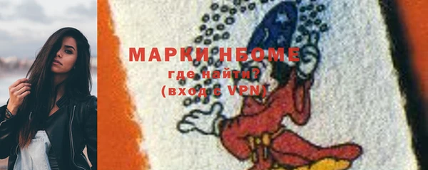 spice Богородицк