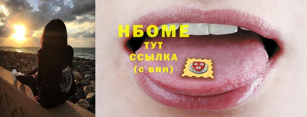 spice Богородицк