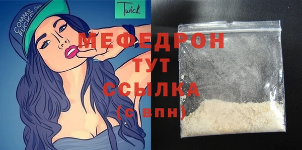 spice Богородицк