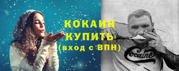 спиды Богданович
