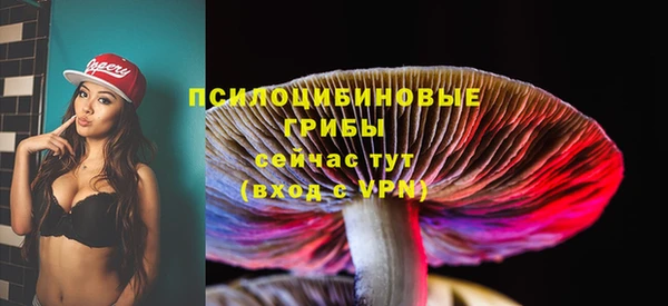 ешки Белокуриха